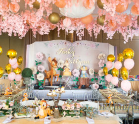 Bambi themed party