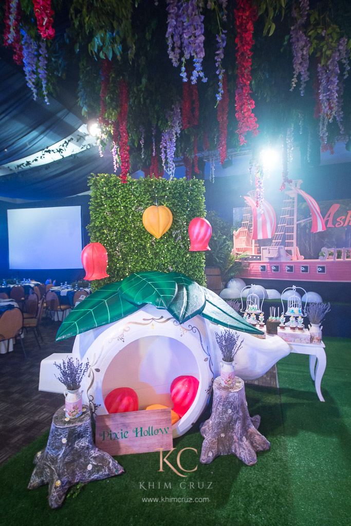 peter pan pixie hollow children birthday party