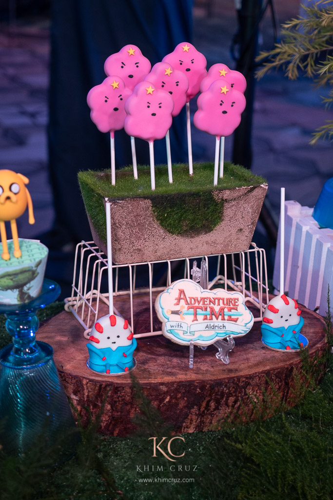 Adventure Time birthday party cakepops and cookies