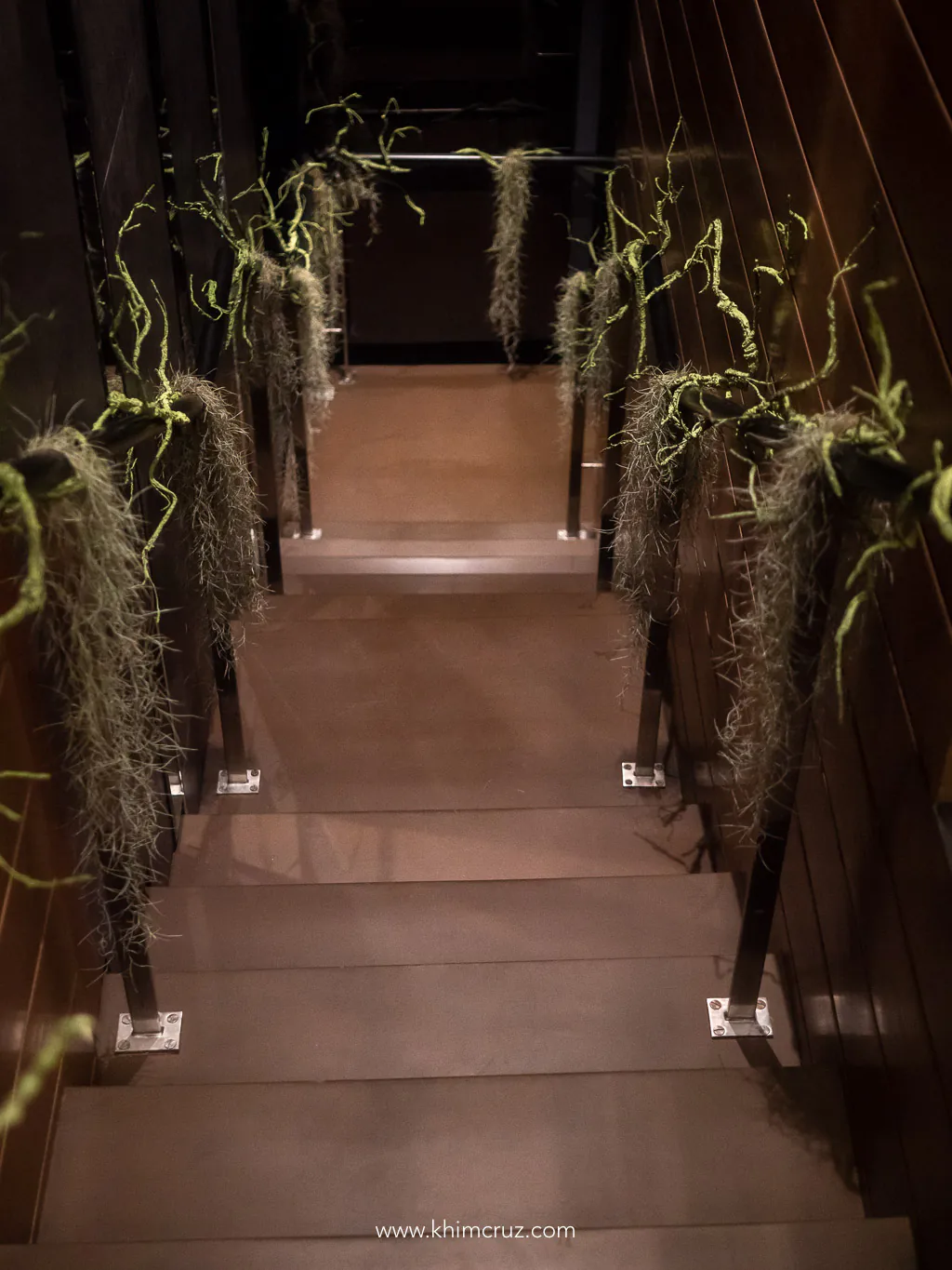 vines on stair hand rail at priore cafe halloween event