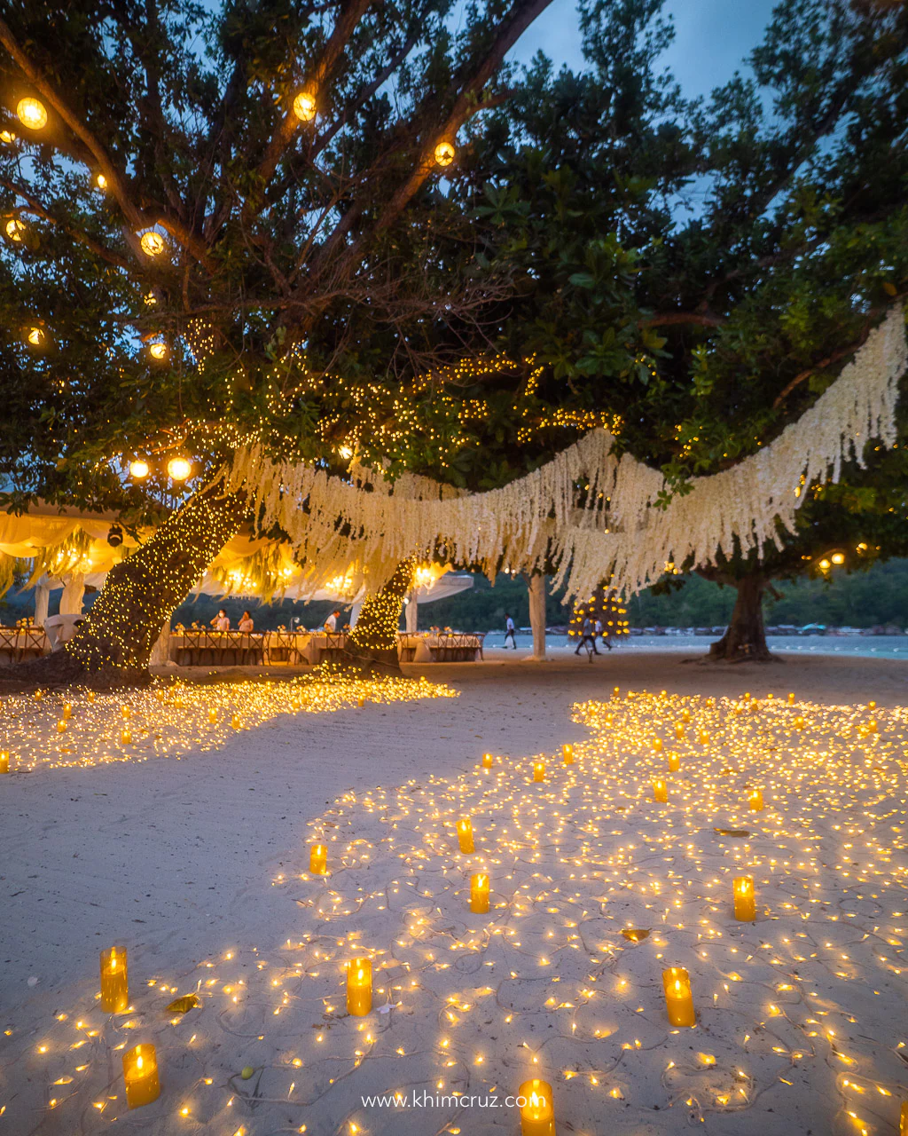 beach wedding reception welcome by warm lights on trees and sand
